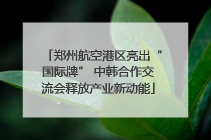 郑州航空港区亮出“国际牌” 中韩合作交流会释放产业新动能