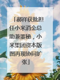 郝祥获批担任小米消金总助兼董秘，小米集团资本版图再现协同扩张