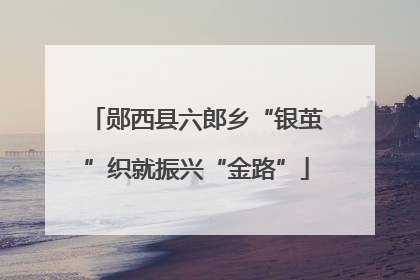 郧西县六郎乡“银茧”织就振兴“金路”