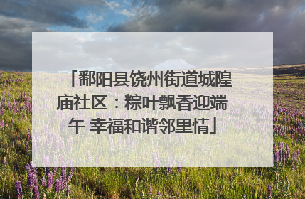 鄱阳县饶州街道城隍庙社区：粽叶飘香迎端午 幸福和谐邻里情
