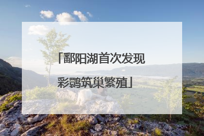 鄱阳湖首次发现彩鹮筑巢繁殖