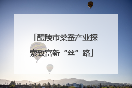 醴陵市桑蚕产业探索致富新“丝”路