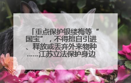 重点保护银缕梅等“国宝”，不得擅自引进、释放或丢弃外来物种……江苏立法保护身边的生物“朋友圈”