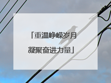 重温峥嵘岁月 凝聚奋进力量