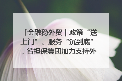 金融稳外贸｜政策“送上门”、服务“沉到底”，省担保集团加力支持外经贸高质量发展