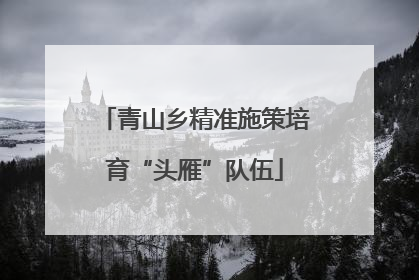 青山乡精准施策培育“头雁”队伍