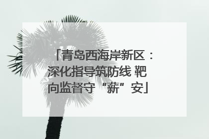 青岛西海岸新区：深化指导筑防线 靶向监督守“薪”安