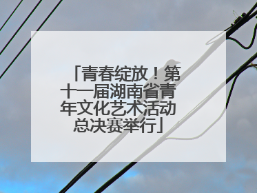 青春绽放！第十一届湖南省青年文化艺术活动总决赛举行