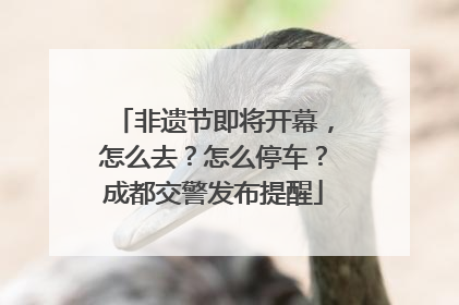 非遗节即将开幕，怎么去？怎么停车？成都交警发布提醒