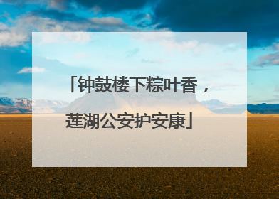 钟鼓楼下粽叶香，莲湖公安护安康