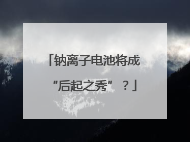 钠离子电池将成“后起之秀”？