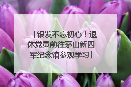 银发不忘初心！退休党员前往茅山新四军纪念馆参观学习