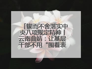 锲而不舍落实中央八项规定精神丨云南曲靖：让基层干部不用“围着表格转”
