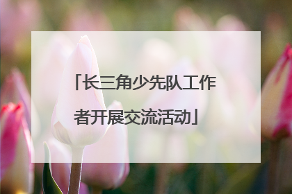 长三角少先队工作者开展交流活动