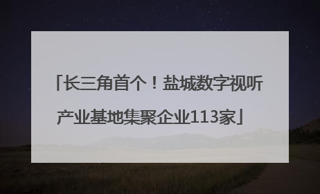 长三角首个！盐城数字视听产业基地集聚企业113家