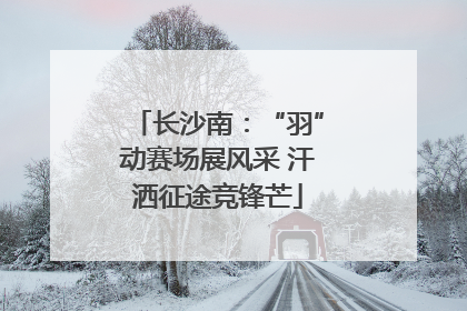 长沙南：“羽”动赛场展风采 汗洒征途竞锋芒