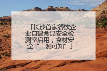 长沙首家餐饮企业自建食品安全检测室启用，食材安全“一测可知”