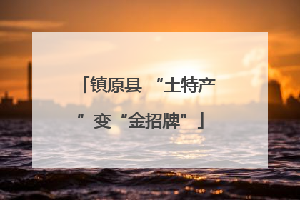 镇原县 “土特产”变“金招牌”