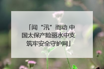 闻“汛”而动 中国太保产险丽水中支筑牢安全守护网