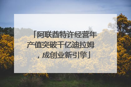 阿联酋特许经营年产值突破千亿迪拉姆，成创业新引擎