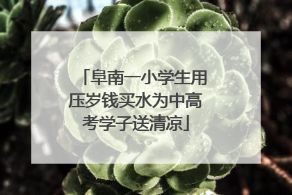 阜南一小学生用压岁钱买水为中高考学子送清凉