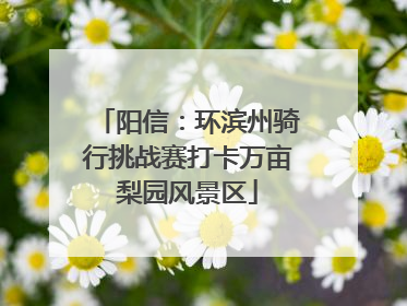阳信：环滨州骑行挑战赛打卡万亩梨园风景区