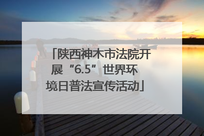 陕西神木市法院开展“6.5”世界环境日普法宣传活动