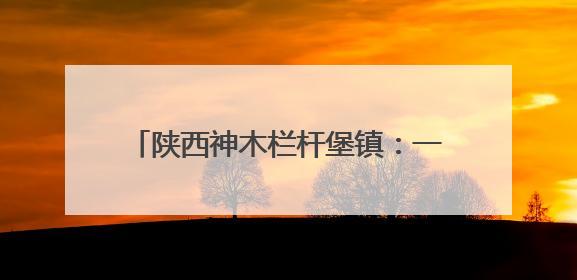 陕西神木栏杆堡镇：一垄瓜苗一垄药香 特色种植激活乡村振兴新动能