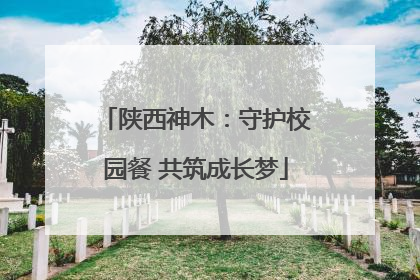 陕西神木：守护校园餐 共筑成长梦