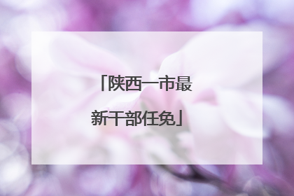 陕西一市最新干部任免