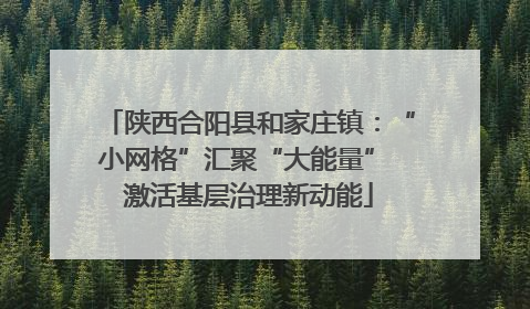 陕西合阳县和家庄镇：“小网格”汇聚“大能量” 激活基层治理新动能