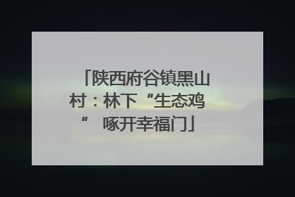 陕西府谷镇黑山村：林下“生态鸡” 啄开幸福门