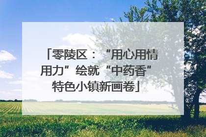 零陵区：“用心用情用力”绘就“中药香”特色小镇新画卷