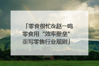 零食很忙&赵一鸣零食用“效率壁垒”重写零售行业规则