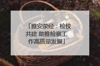雅安荥经：检校共建 助推检察工作高质量发展