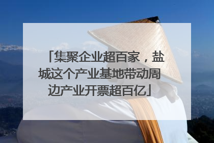 集聚企业超百家，盐城这个产业基地带动周边产业开票超百亿