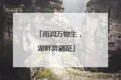 雨润万物生，湖畔舞翩跹