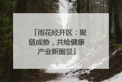 雨花经开区：聚链成势，共绘健康产业新图景