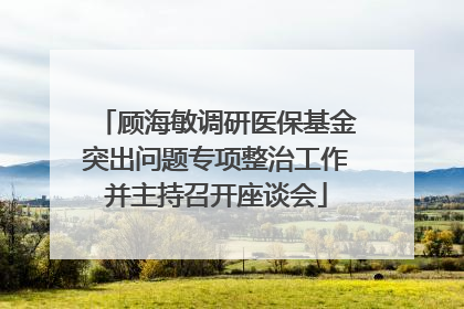 顾海敏调研医保基金突出问题专项整治工作并主持召开座谈会