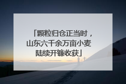 颗粒归仓正当时，山东六千余万亩小麦陆续开镰收获
