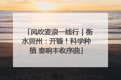 风吹麦浪一线行｜衡水冀州：开镰！科学种植 奏响丰收序曲