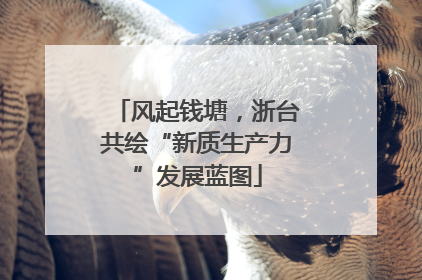 风起钱塘，浙台共绘“新质生产力”发展蓝图