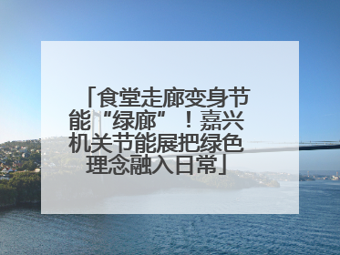 食堂走廊变身节能“绿廊”！嘉兴机关节能展把绿色理念融入日常