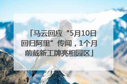 马云回应“5月10日回归阿里”传闻，1个月前戴新工牌亮相园区