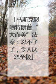 马斯克怒喷特朗普“大而美”法案：忍不了了，令人厌恶至极