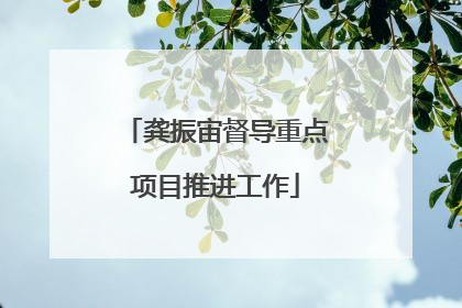 龚振宙督导重点项目推进工作