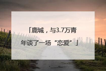 鹿城，与3.7万青年谈了一场“恋爱”