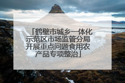 鹤壁市城乡一体化示范区市场监管分局开展重点问题食用农产品专项整治
