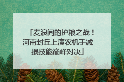 麦浪间的护粮之战！河南封丘上演农机手减损技能巅峰对决