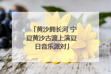 黄沙拥长河 宁夏黄沙古渡上演夏日音乐派对